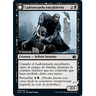 Ladronzuelo encubierto / NM 1