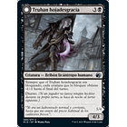 Truhan hojadesgracia / NM 1