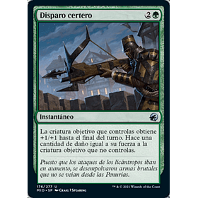 Disparo certero / NM