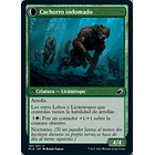 Domador de perros / NM 2