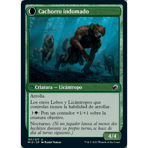 Domador de perros / NM 2