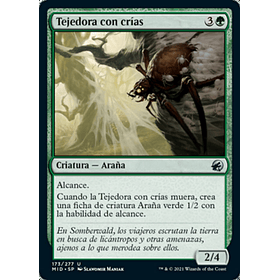 Tejedora con crías / NM