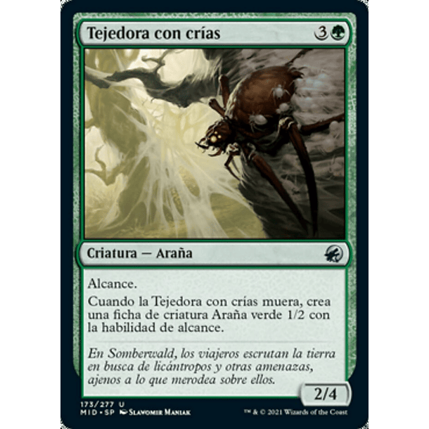 Tejedora con crías / NM