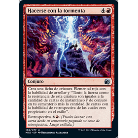 Hacerse con la tormenta / NM