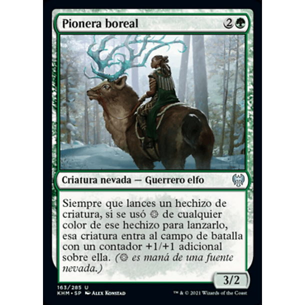 Pionera boreal / NM