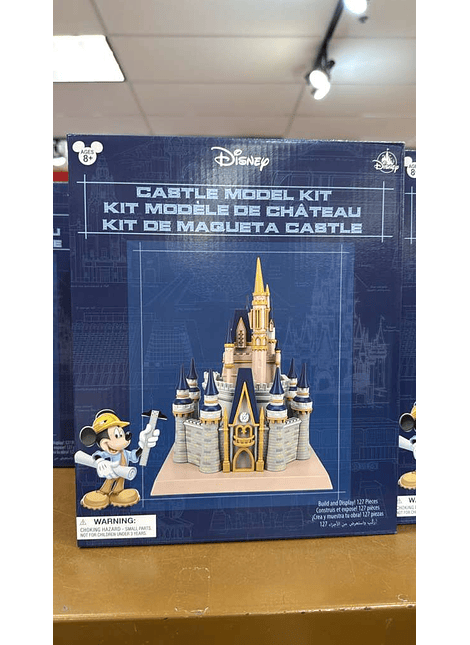 Kit Castillo Disneyworld. Disney Parks 