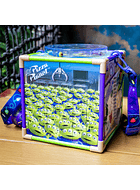 Bucket / Palomera Toy Story 30 aniversario. Disney Parks 