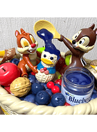 Bucket/Palomera ardillas Disney parks Japón 