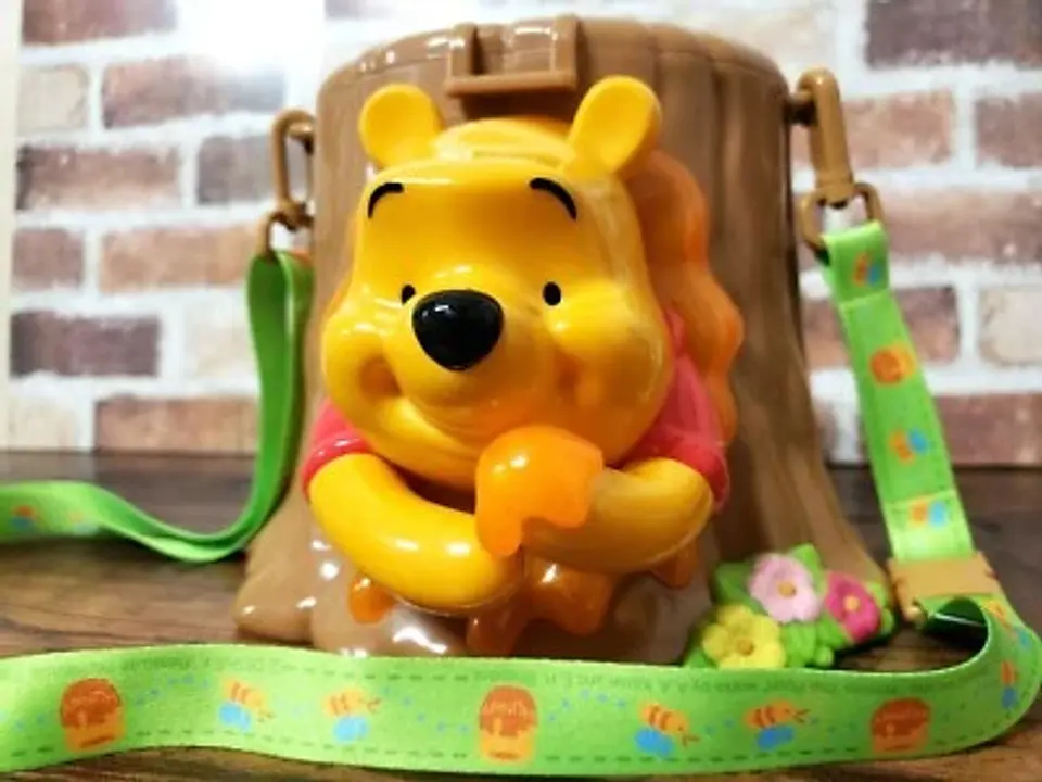 Bucket/Palomera Winnie the pooh. Disney Parks  1