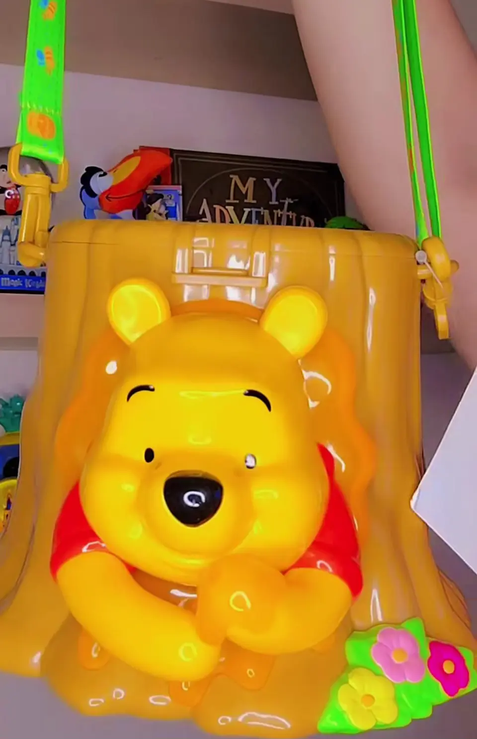 Bucket/Palomera Winnie the pooh. Disney Parks  3