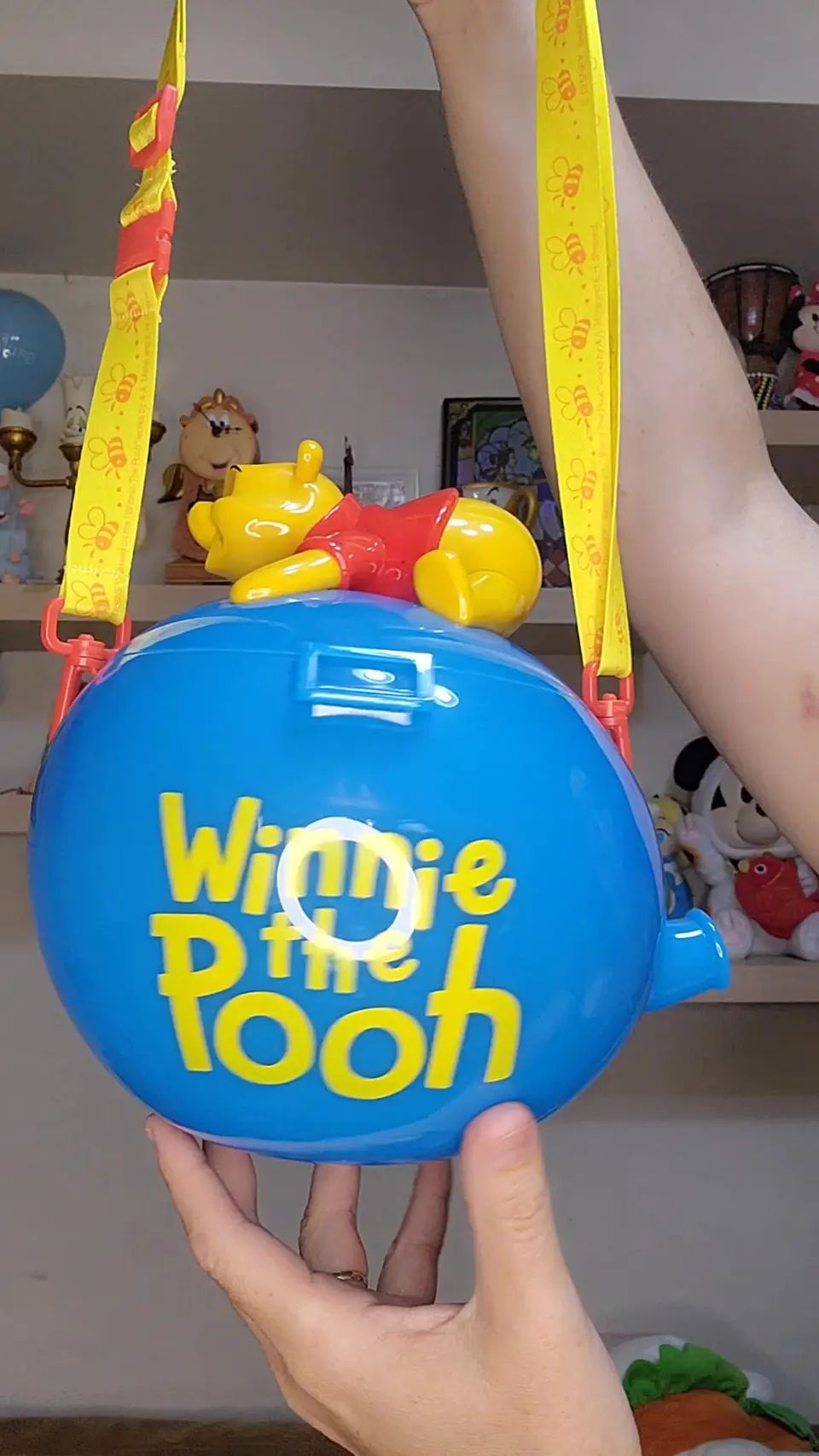 Bucket/Palomera Winnie the pooh. Disney parks  2