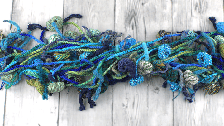 Flores Rayito Azul 1