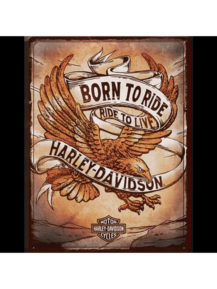 Harley  Davison BORN TO RIDE 1