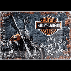 Harley  Davison Ride