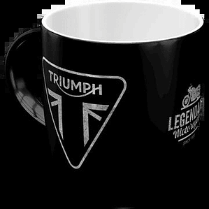 TRIUMPH MOTORCYCLES