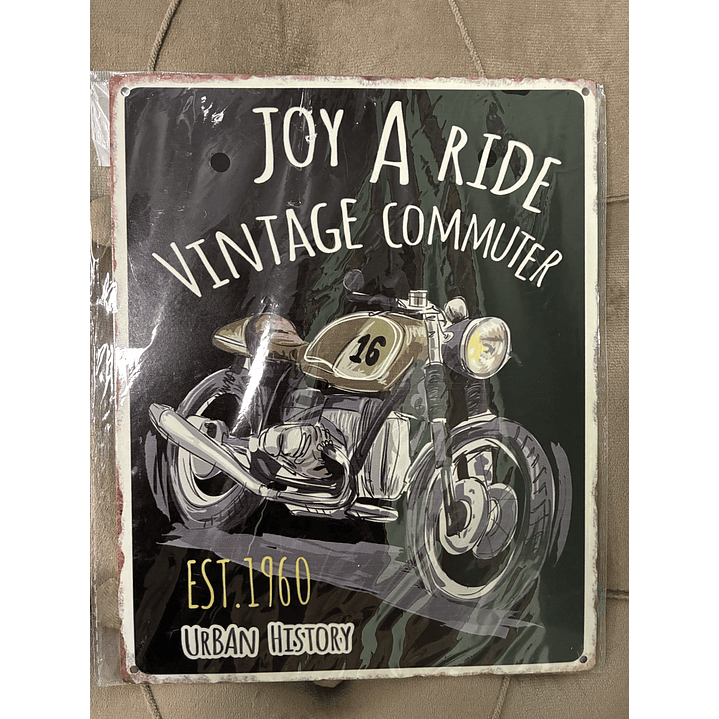 Joy a ride 20x25cm 1