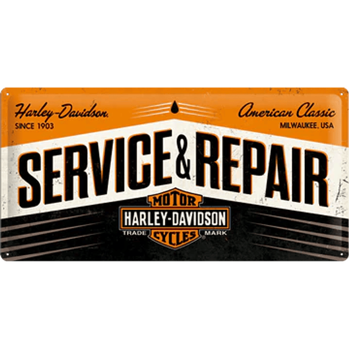 Harley  Davison service and repair 1