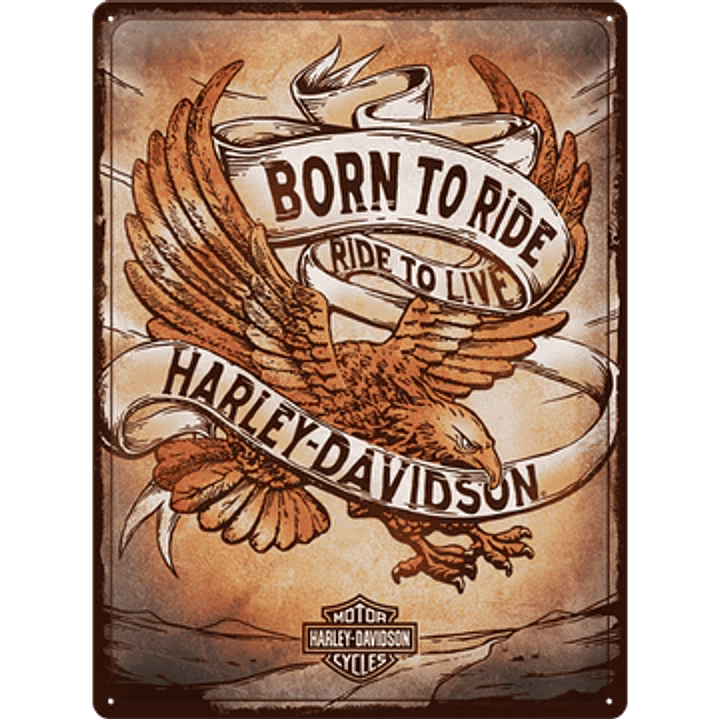 Harley  Davison BORN TO RIDE 1