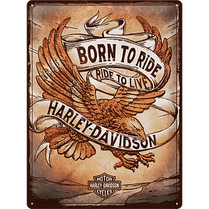 Harley  Davison BORN TO RIDE