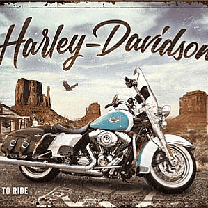 Harley Davison mota