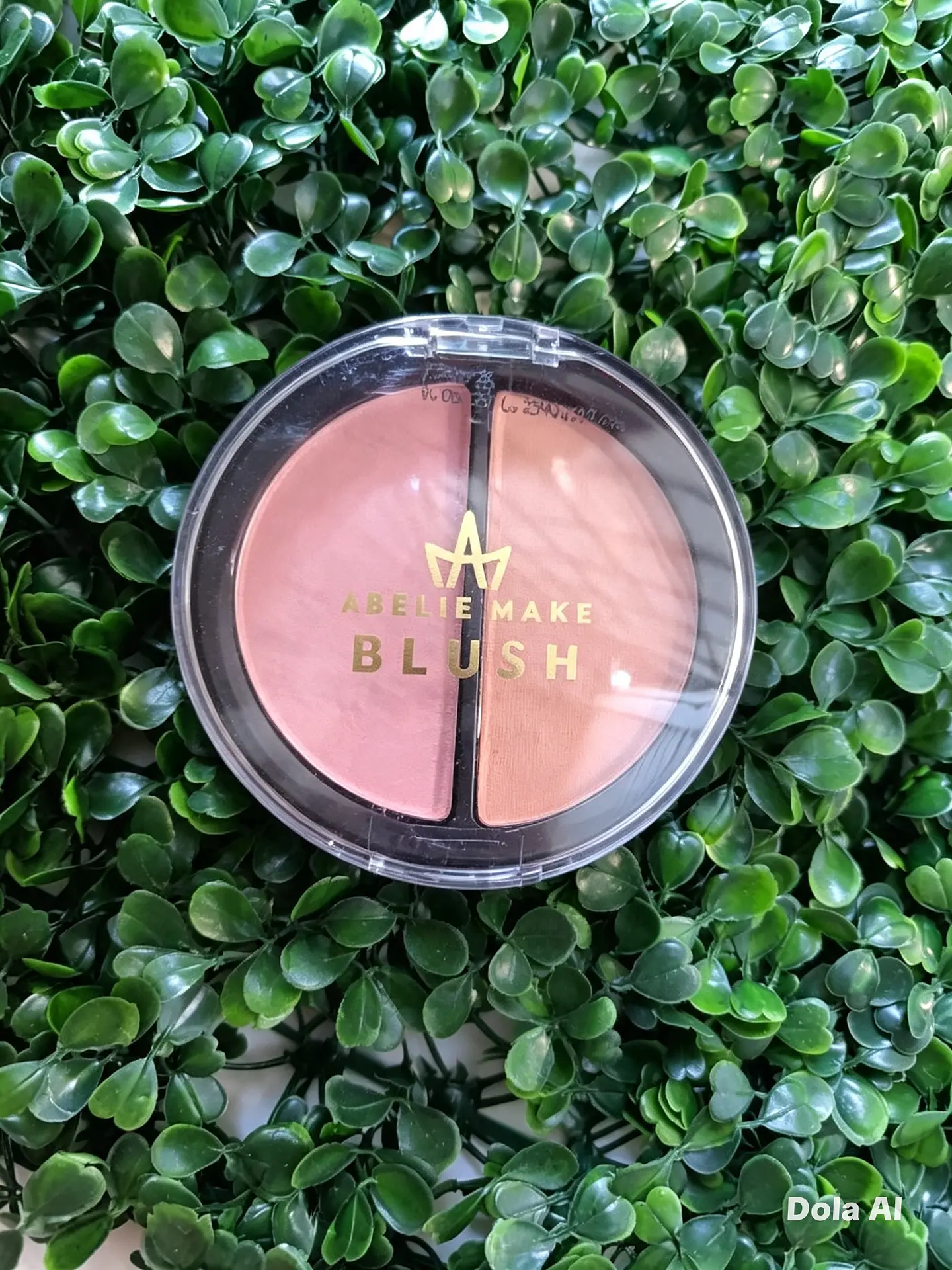 BLUSH MAQUIAGEM 2