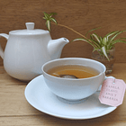 Canela y Clavo con Anís y Naranja 2