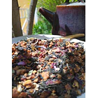 Inspiración Macabeo 1
