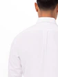 Camisa Chef Works Oxford  - Miniatura 5