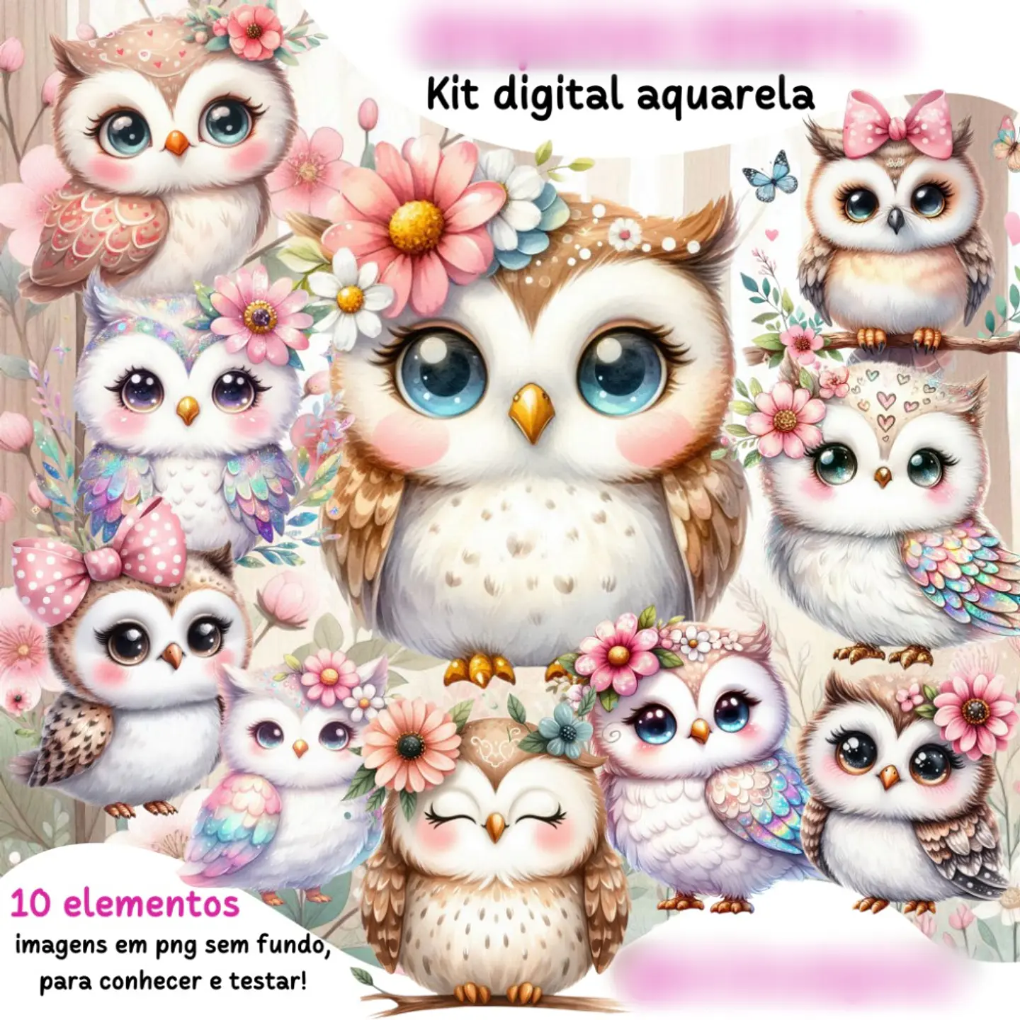 Corujinhas- Kit Digital  1