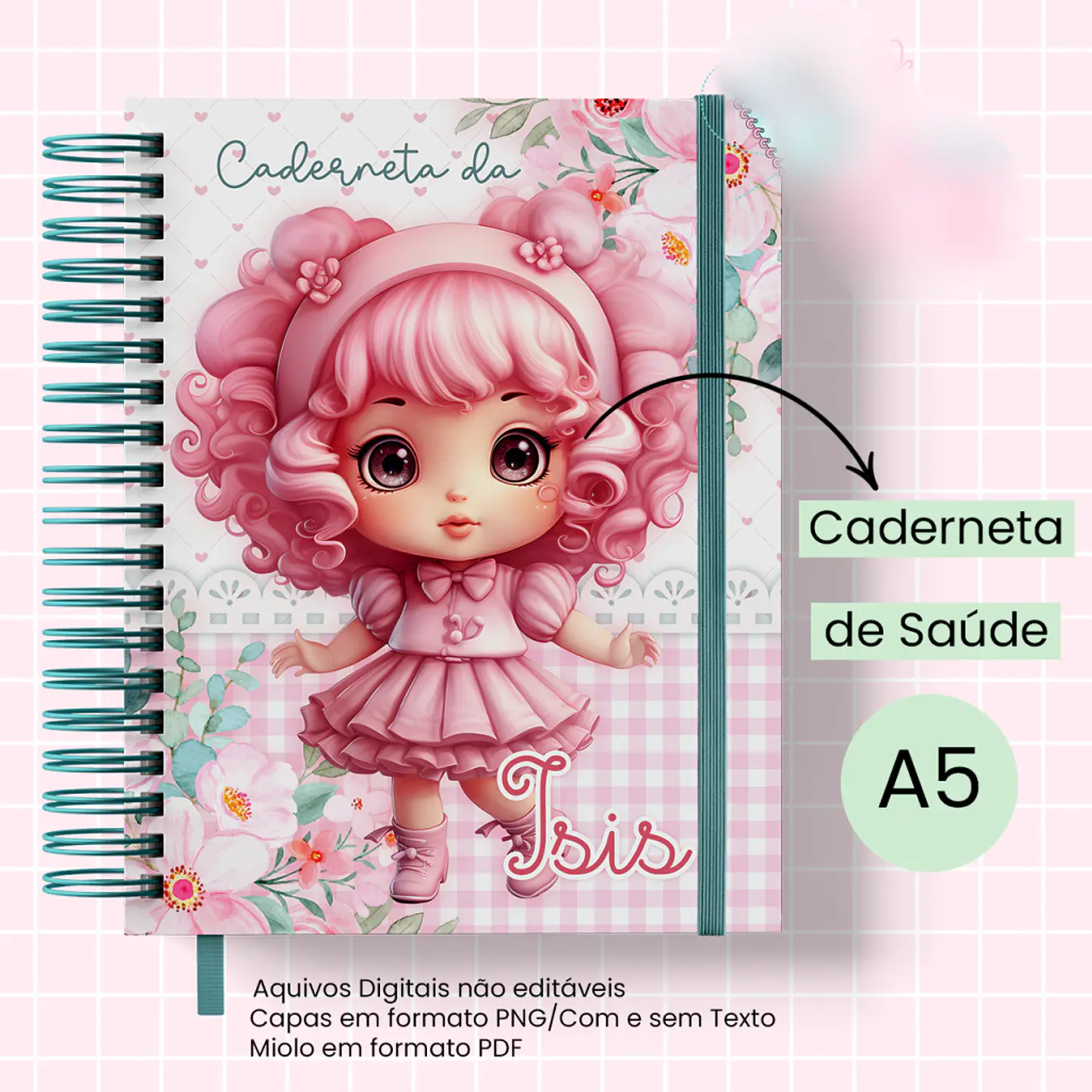 Caderneta de Saúde Boneca 1