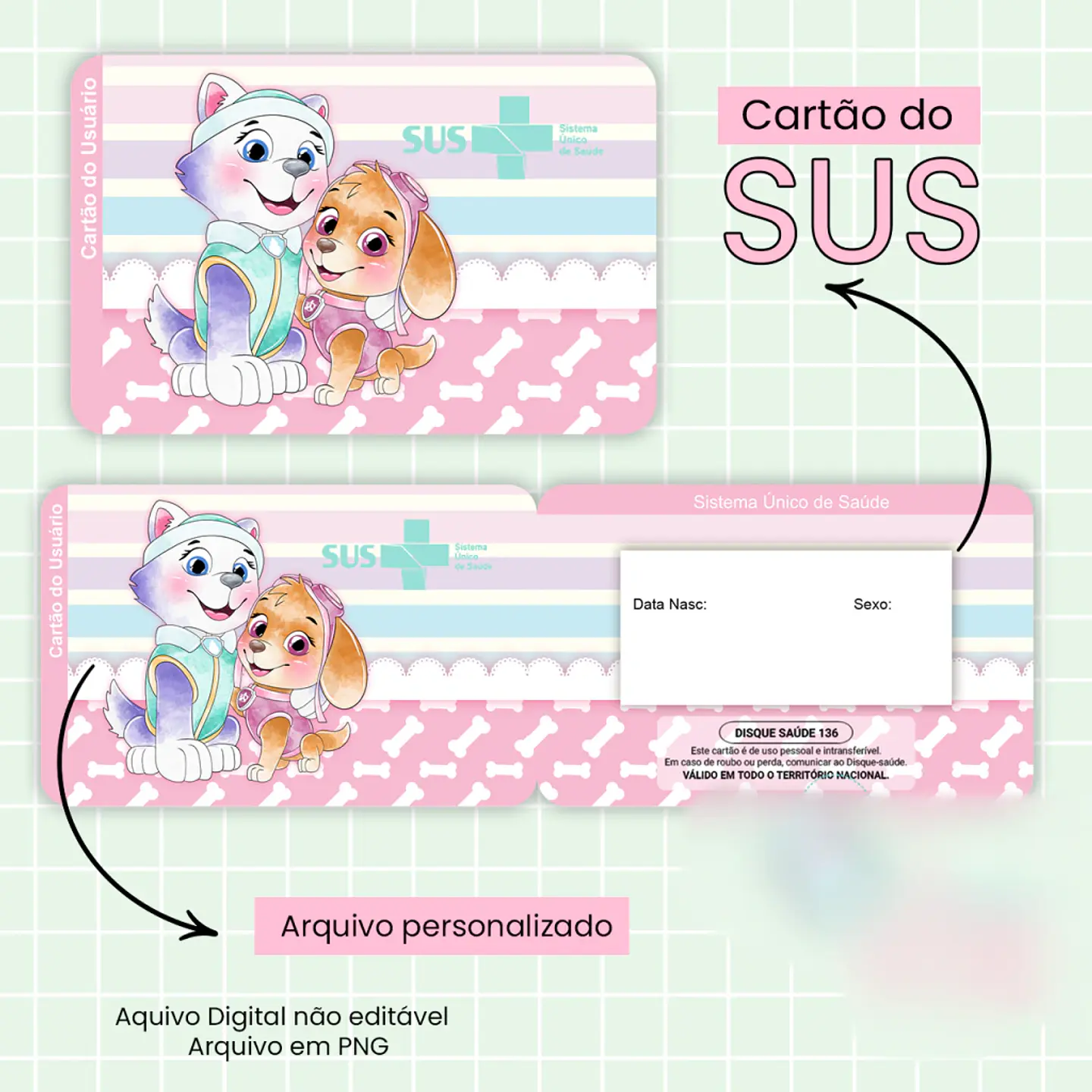 Caderneta de Saúde Patrulha Canina 9