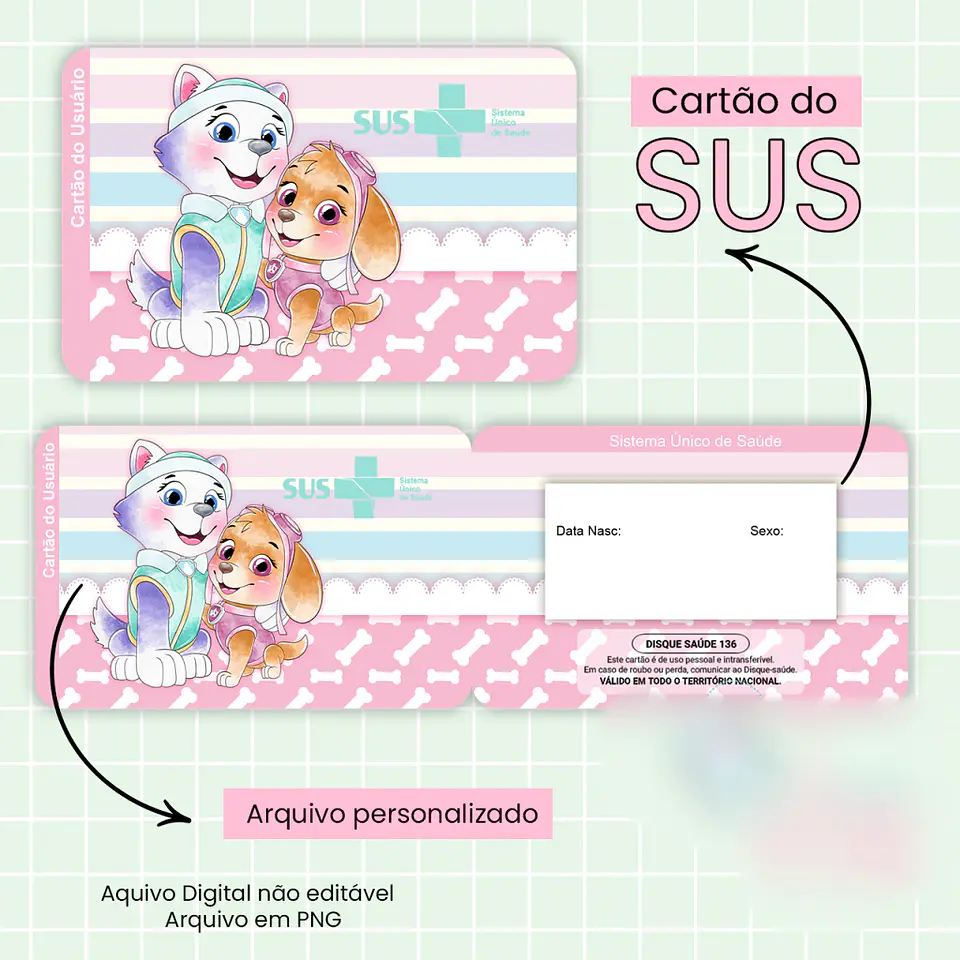Caderneta de Saúde Patrulha Canina 9