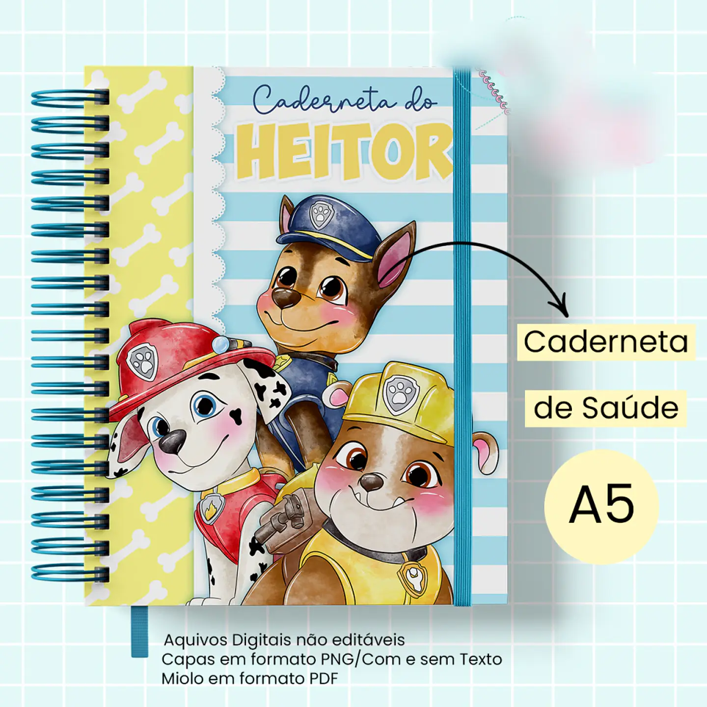 Caderneta de Saúde Patrulha Canina 1