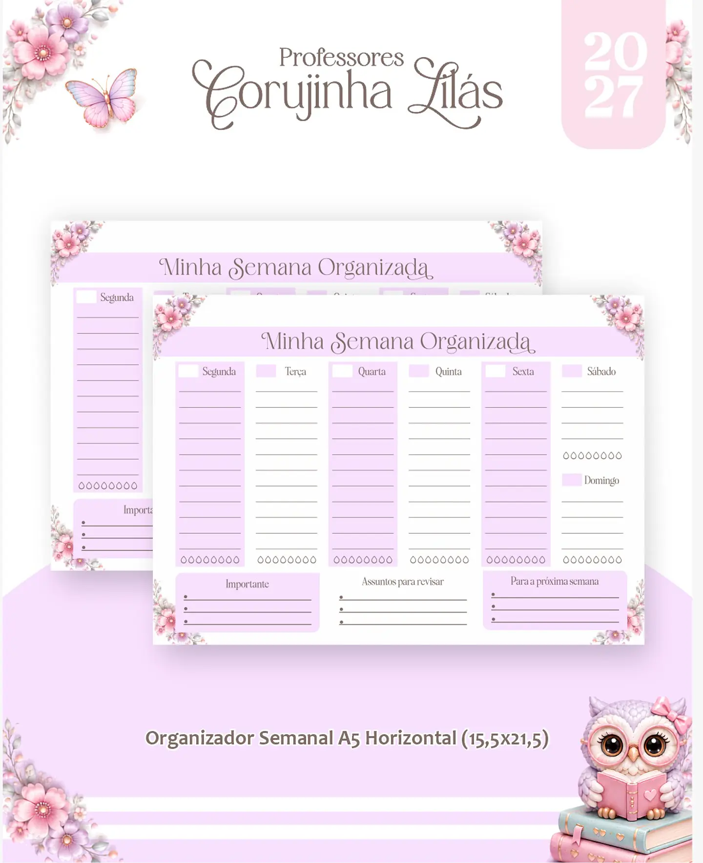Corujinha - Professores 2027 5