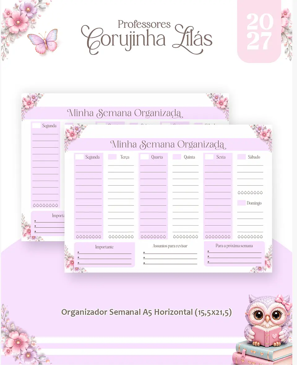 Corujinha - Professores 2027 5