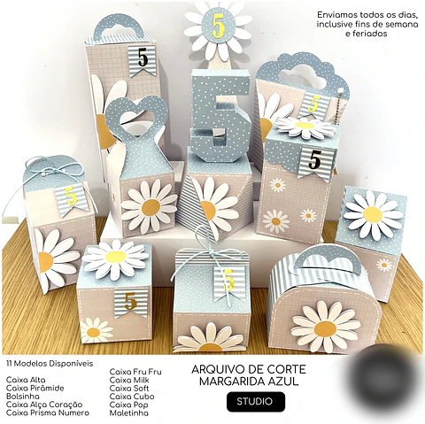 Margaridas - Arquivo de Corte / Festa