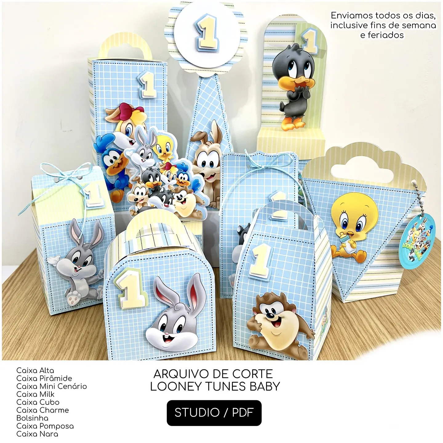 Looney Tunes Baby - Festas 1