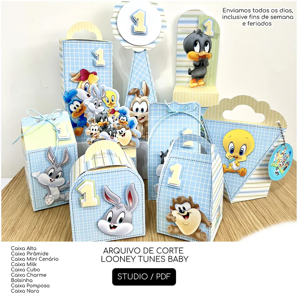 Looney Tunes Baby - Festas 1