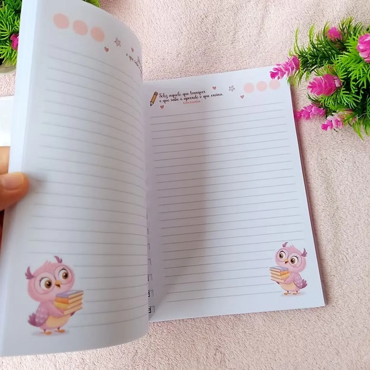 Caderno da Professora - Encadernação 2