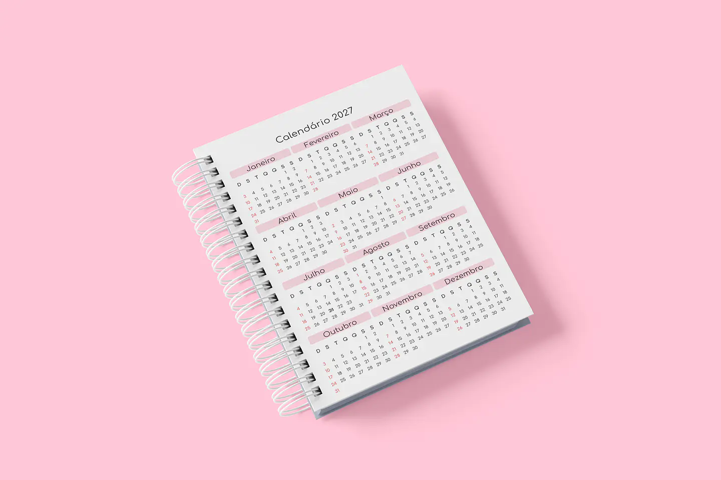 Agendamento Datado 2027 Rosa 9