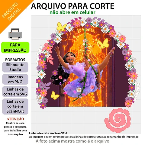 Encanto - Topos de Bolo