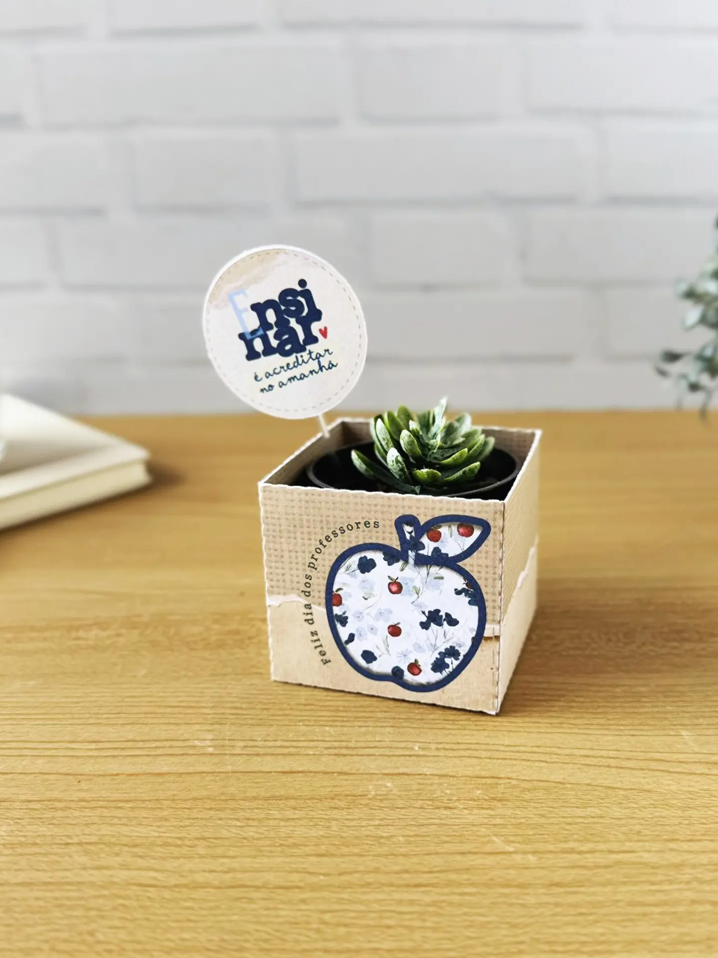 Box para Suculenta - Dia dos Professores 1