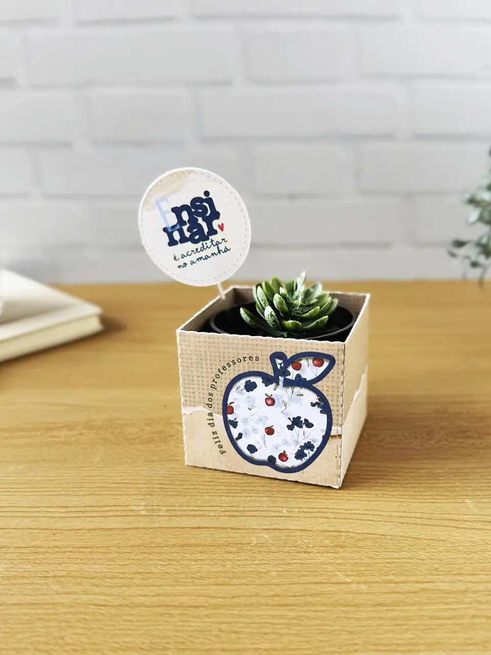 Box para Suculenta - Dia dos Professores 1