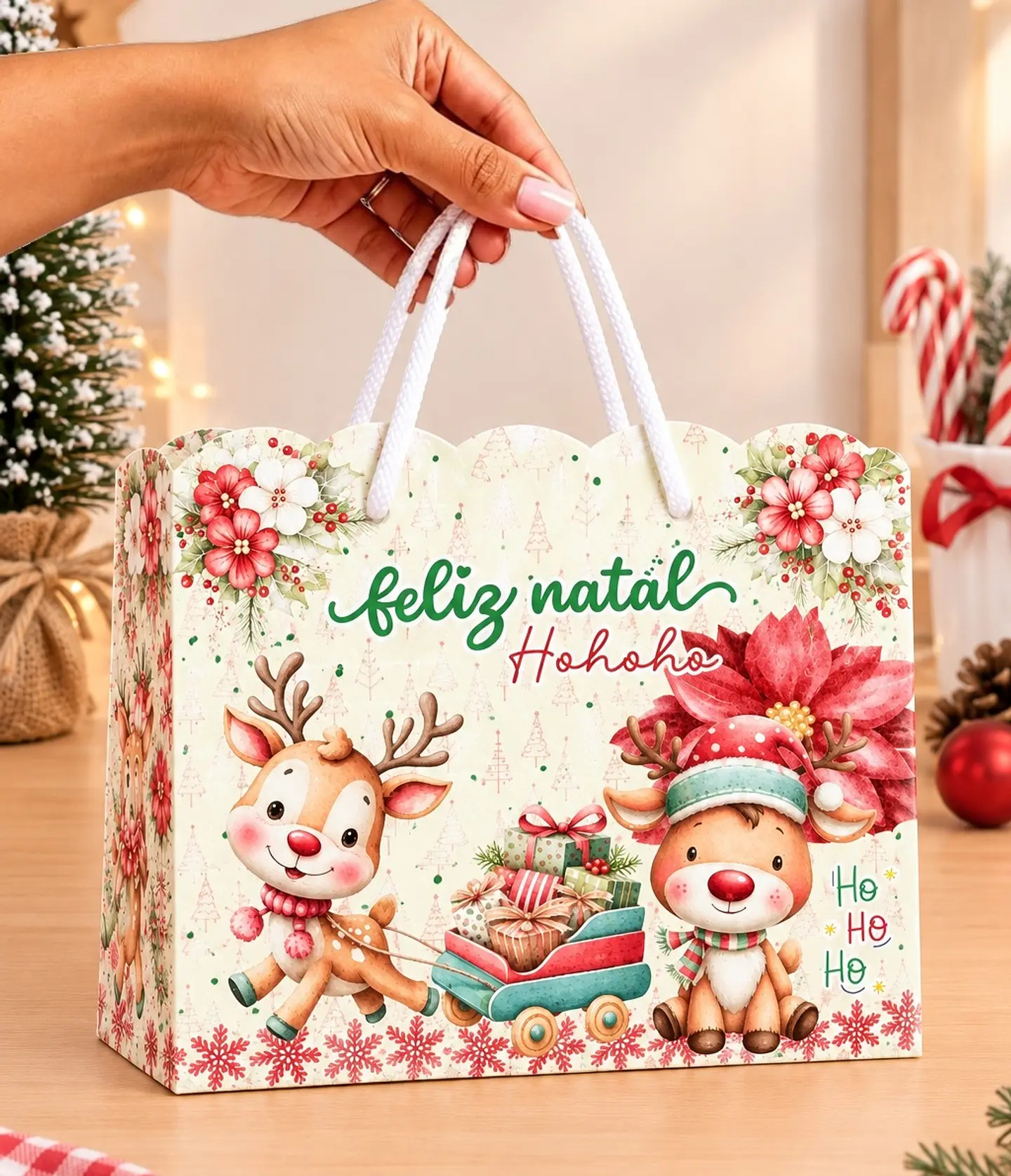Kit 10 Sacolas - Natal 4