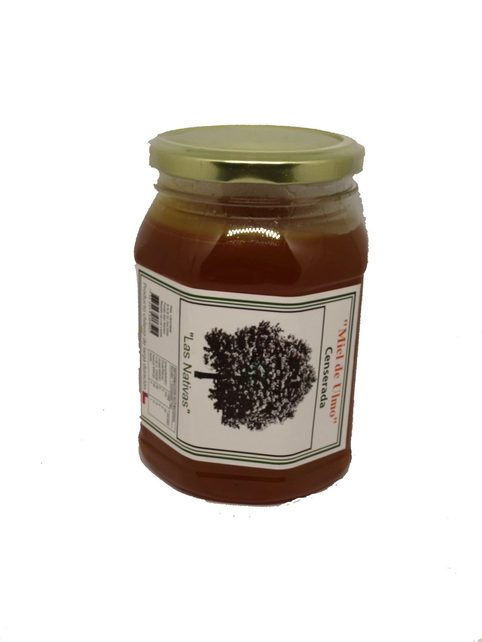 Miel de ulmo 1 KG