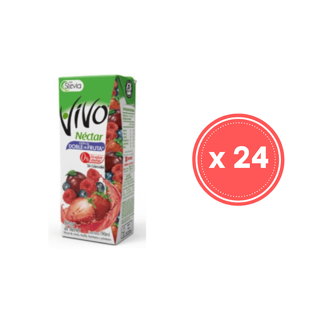 Pack 24 Vivo Jugo Néctar Berries 190 Ml, Individual Colación
