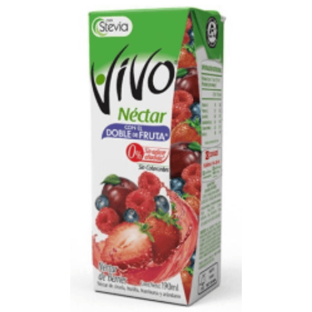 Pack 24 Vivo Jugo Néctar Berries 190 Ml, Individual Colación