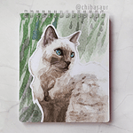 Croquera Gato Ragdoll