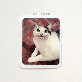 Sticker Gato Meme Sonrisa