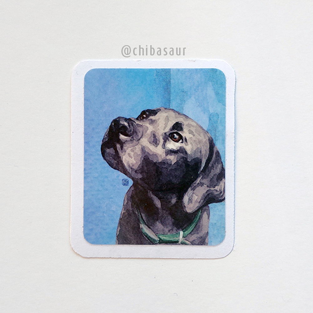 Sticker Labrador